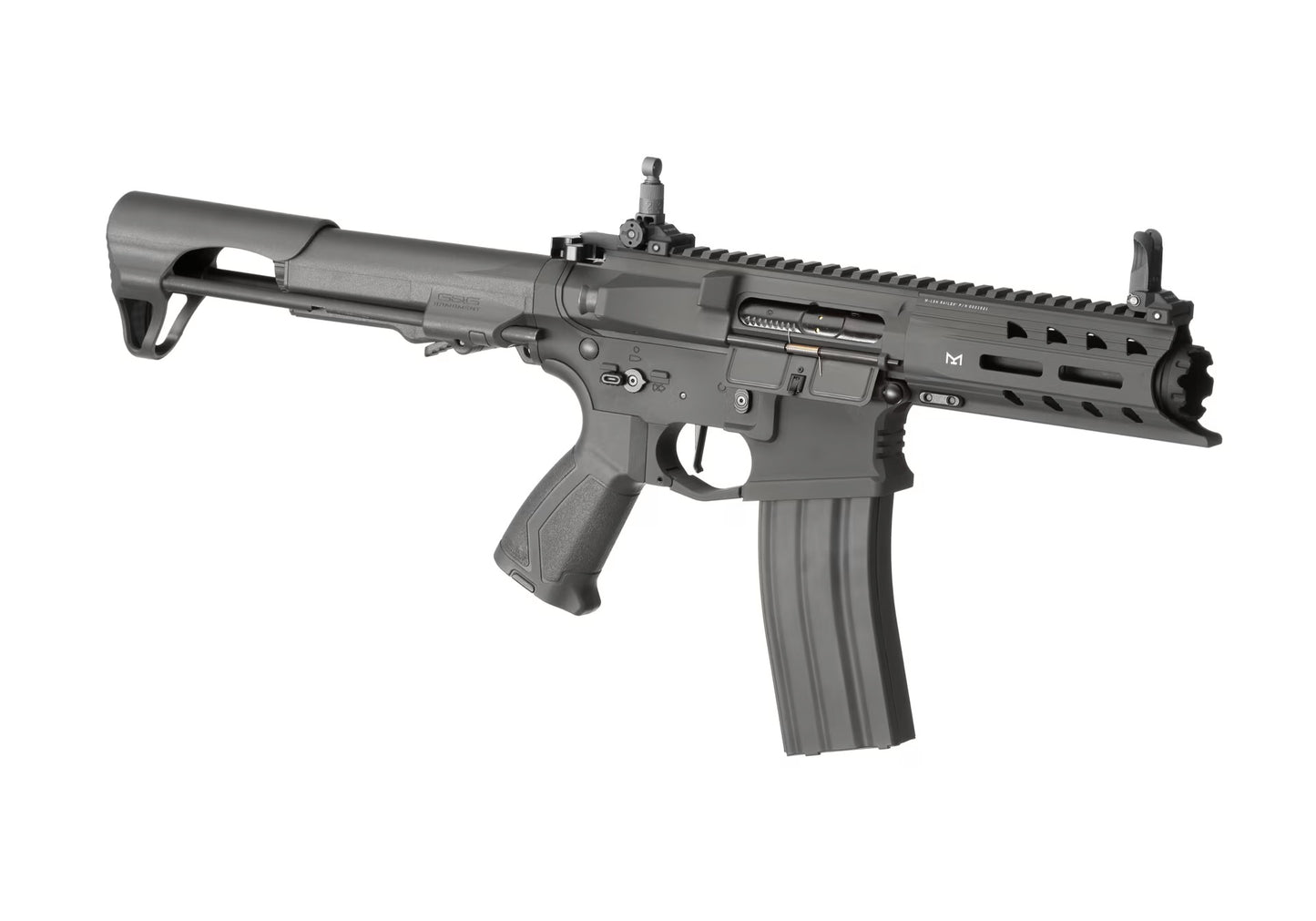 G&G ARP 556 S-AEG GRAU