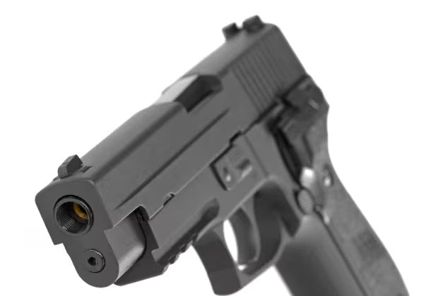WE P226 Mk25 Navy Seals Full Metal GBB