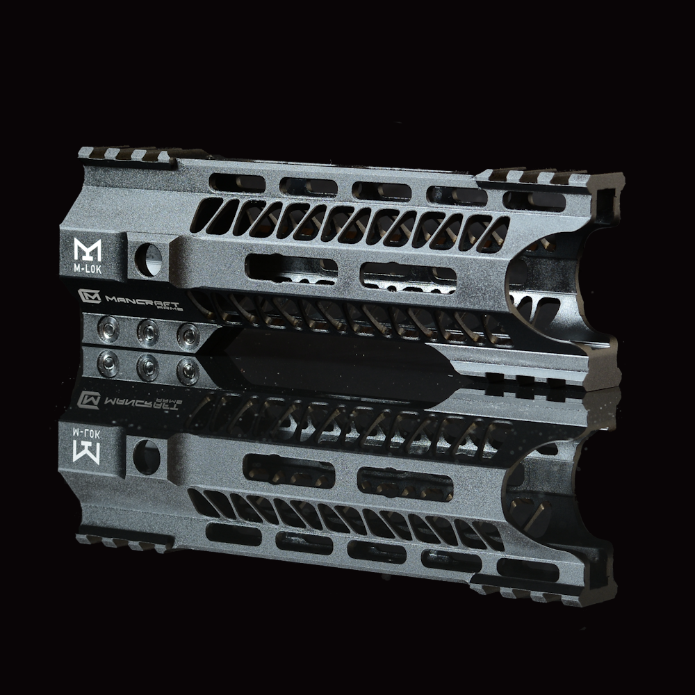 RIS System
